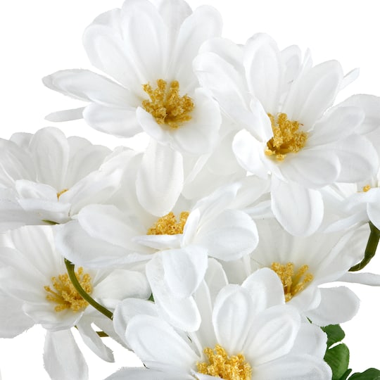 12" Daisy Bush by Ashland®
